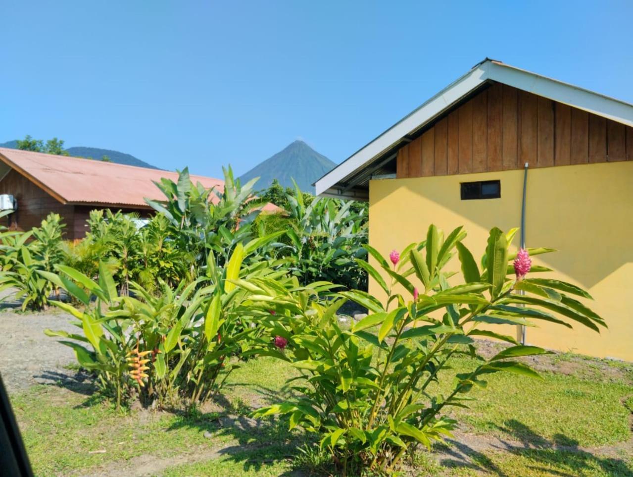 Cabana Rural Ave Del Paraiso ラ・フォルトゥナ エクステリア 写真
