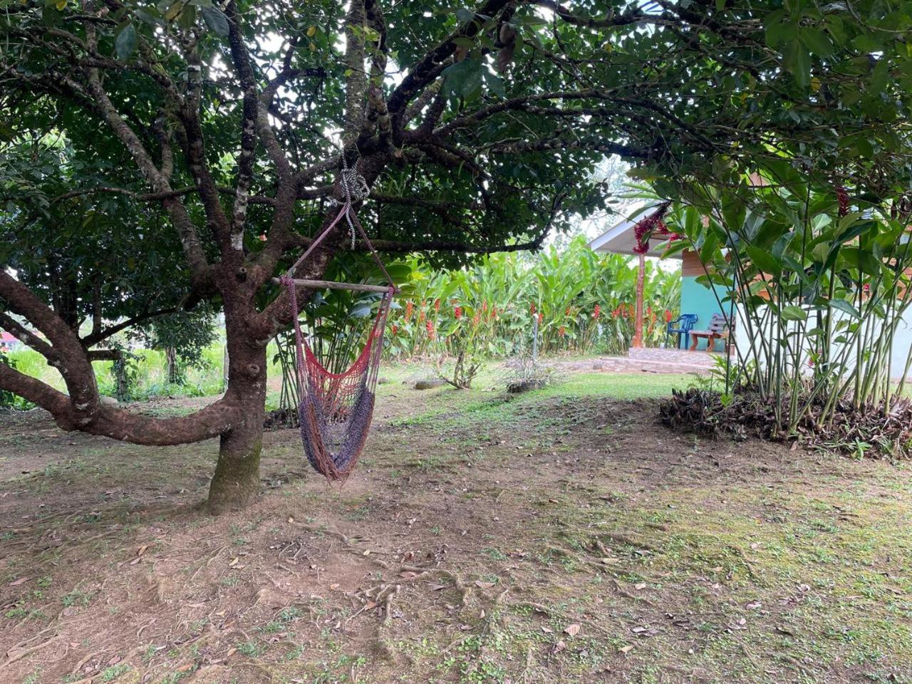 Cabana Rural Ave Del Paraiso ラ・フォルトゥナ エクステリア 写真