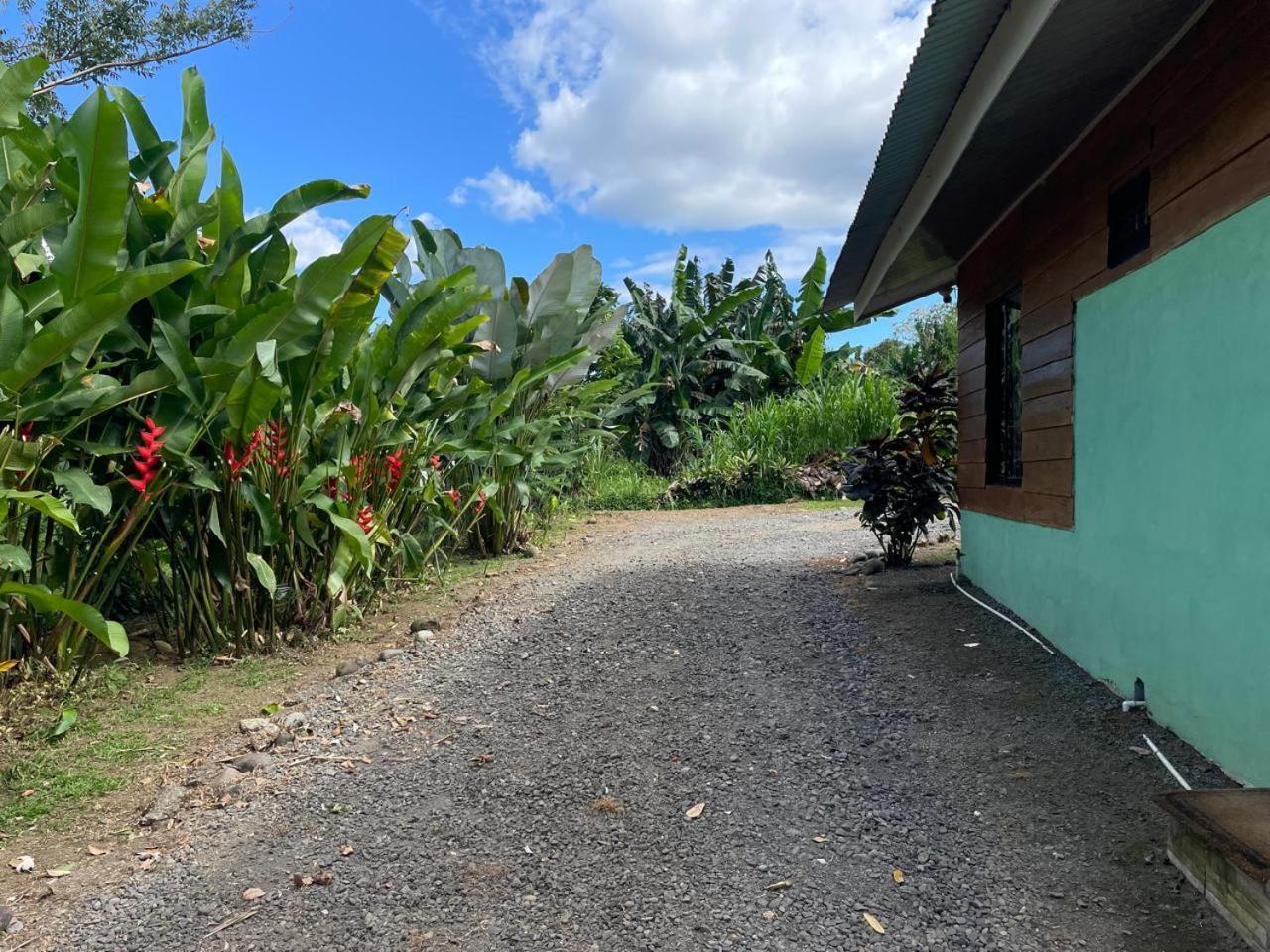 Cabana Rural Ave Del Paraiso ラ・フォルトゥナ エクステリア 写真